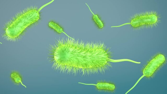 bacteria bacillus 3d render animation loop. prokaryote microorganism with flagellum that can be used to represent microbiology cell probiotics and pathogen cells such as lactobacillus or salmonella