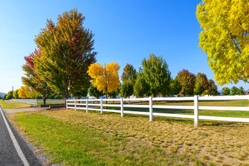 Late summer view as trees turn to Autumn fall colors at a ranch homesite with a white picket fence...