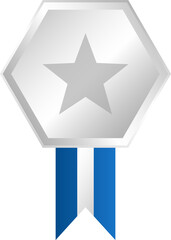 Silver star medal with blue ribbon