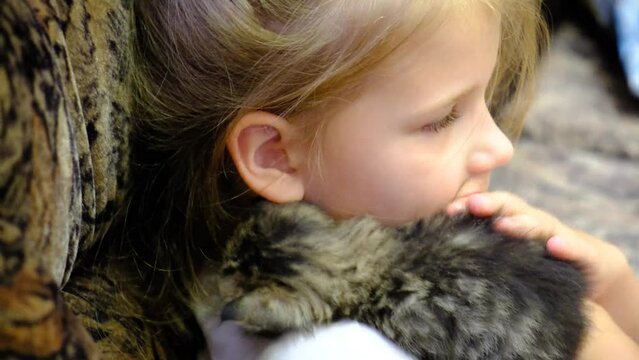 Child hugging baby kitten. Playful and cheerful time. Friendship and mischief funny home pet