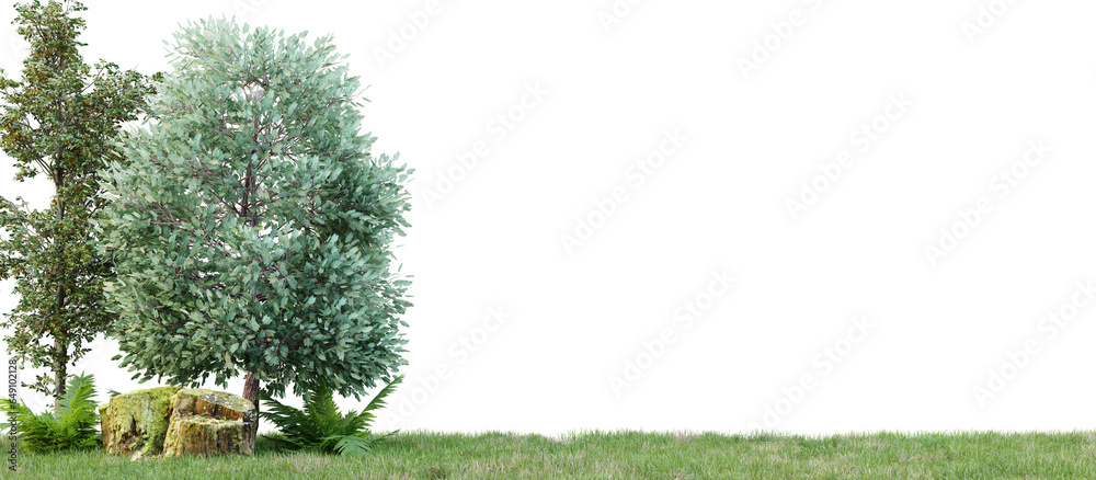 Poster group of tree isolated on transparent background 3d rendering png.