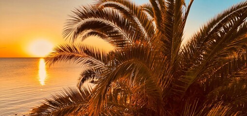 palm trees and branches and in the background sea beach and sunset a perfect holiday