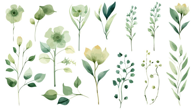  watercolor set elements of roses; collection garden flowers; leaves; branches. Botanic Wedding floral design. Collection of greenery leaf plant forest herbs tropical leaves.