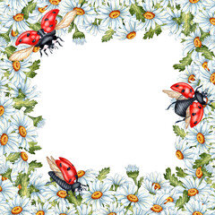 Naklejka premium Watercolor illustration of a square frame of daisies, leaves with red ladybugs. Compositions for posters, cards, banners, flyers, covers, playbills and other printed products. isolated