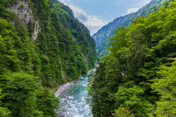 日本の風景　夏の黒部峡谷　欅平