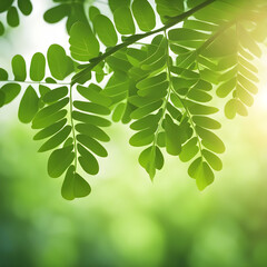 Fototapeta na wymiar Closeup of beautiful nature view green leaf on blurred greenery background, Small green leaves on a tree branch, Desktop HD wallpaper Macro, Close up of nature view green leaf stock images
