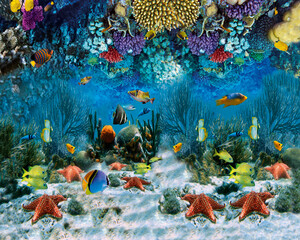 underwater world corals top view for printing 3D flooring photo wallpaper sea fish beautiful underwater scenery with various types of fish and coral reefs