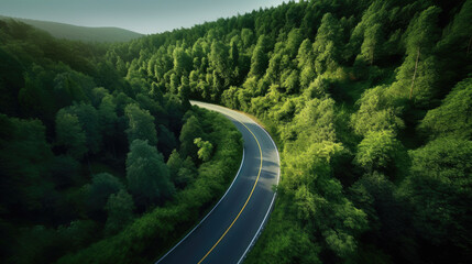 Fototapeta premium A curvy road in the middle of the forest. Top view. Generative Ai