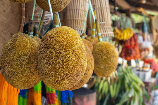 The most famous local tropical fruit of Sabah, Malaysia "TARAP" also know as madang, timadang, marang or terap