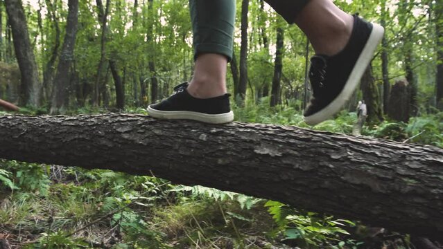 Young woman walking on a fallen log. Side close up shot of woman's legs wearing green pants and black snickers walking on a fallen tree  