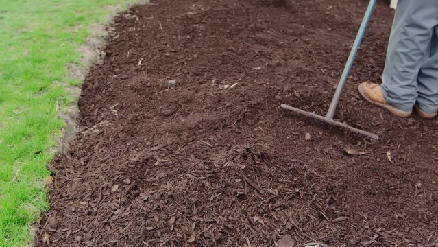 They are leveled with a rake mulch, mulching garden plants with tree bark mulch. Landscape maintenance 