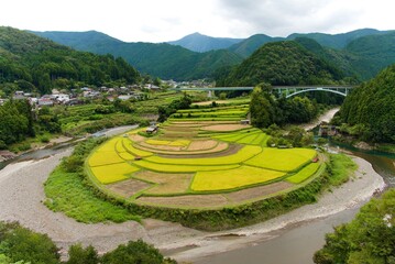 あらぎ島の田園風景