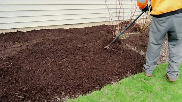 They are leveled with a rake mulch, mulching garden plants with tree bark mulch. Landscape maintenance. Close up shot