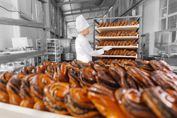 Baker hold buns with poppy seeds, craft bread in bakery factory plant