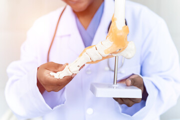Professional orthopedic doctor explain fake leg and hand bone skeleton model . medical and...