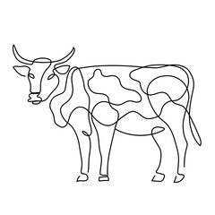Cow line art - 649142330