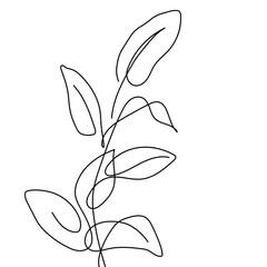 Ficus leaves one line drawing.  
