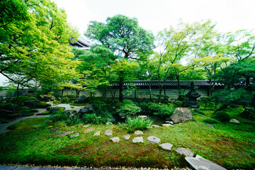 Fototapeta na wymiar 夏の京都の寺の風景