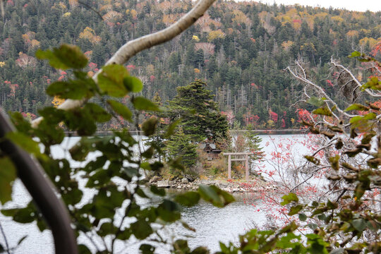 紅葉した森に囲まれた湖と神社　然別湖
