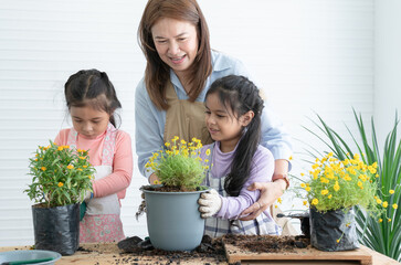 Cute Asian children girls helping her mother to care for plants. Middle aged mom and little...