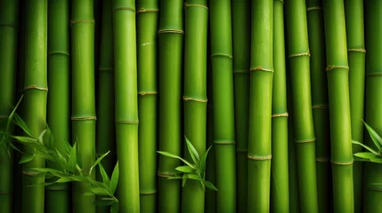 Zelfklevend Fotobehang green bamboo tree background texture pattern  © MAXXIMA Graphica