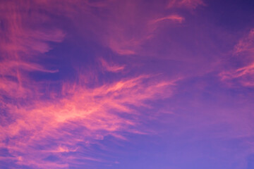 Trend color background