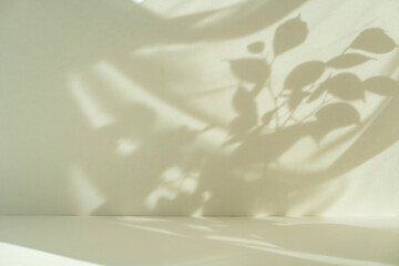 Tropical leaf shadow blank background composition for product presentation. The background is beige. Nude Studio Minimal showcase.