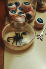halloween still life with eyeballs, scorpions and insect