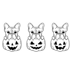 Pumpkin Dog. Happy Halloween French bulldog. Love dogs. Fall, autumn, Thanksgiving, Halloween element for design. Isolated on white background.Good for posters, t shirts, postcards.