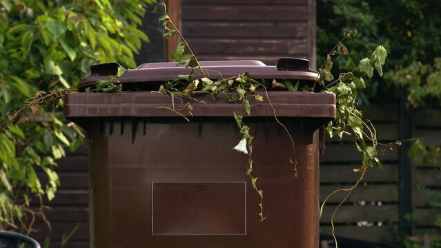 Brown council wheelie bin for garden waste panning shot