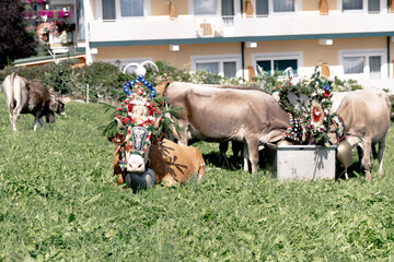Tiroler Almabtrieb