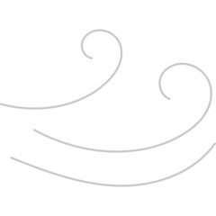 Wind Blow Icon