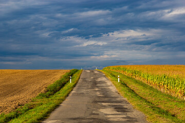Fototapeta na wymiar Dark clouds over rural road and fields. Early autumn landscape.