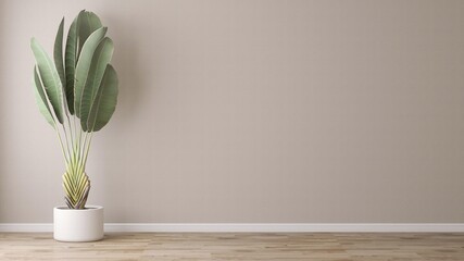 Tropical green banana tree in white pot in sunlight, shadow on blank beige wall, laminated parquet floor. Luxury interior design decoration, fashion, beauty, product display background 3D