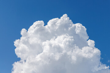 Naklejka na ściany i meble 青い空に浮かぶ積雲の綿のような頂部