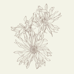 Bouquet with sunflowers gerbera in line art style. For wedding, birthday, anniversary.