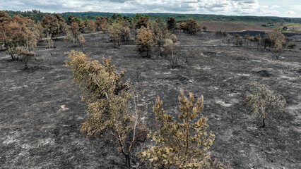 Aerial view of heathland after a wildfire