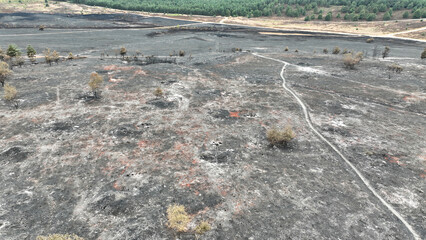 Aerial view of heathland after a wildfire