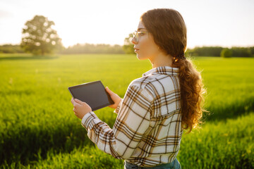 Experienced farmer woman evaluates green shoots of wheat in the field. Working with a digital...