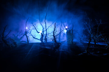 Spooky dark landscape showing silhouettes of trees in the swamp on misty night.