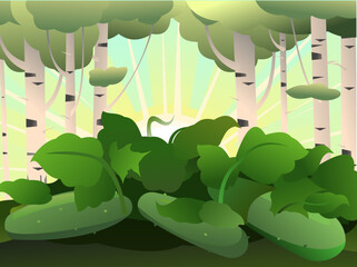 Cucumber grows ripe. Summer rural landscape. Sun morning bright rays. Garden with vegetables. Thickets of herbs. Birch trees. Cartoon fun style. Flat design. Vector