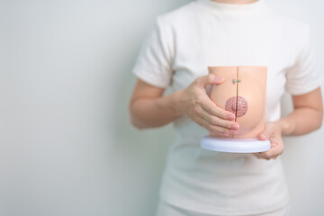 woman holding Breast Anatomy model. Breast Augmentation Surgery, October Breast Cancer Awareness...