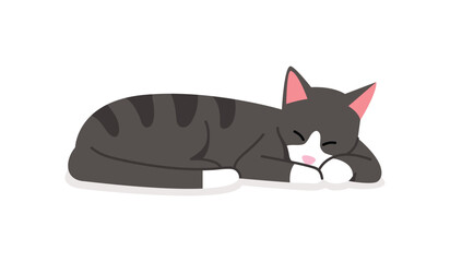 Black cat sleeping