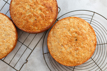 Baked cakes on wire cooling racks after coming out of the oven