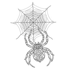 Spider and web hand drawn for adult coloring book © kaewta