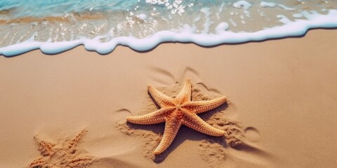 Fototapeta na wymiar beautiful starfish on beach sand