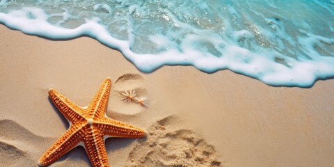 Fototapeta na wymiar beautiful starfish on beach sand