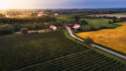 Aerial view of countryside and vineyards at Casale sul Sile (Treviso, Italy) at sunset before rain
