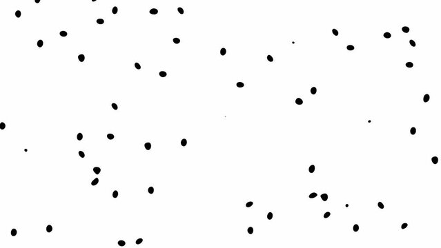 Black and white background. Small black spots appear and disappear isolated on white backdrop. Round shapes motion. Polka dot monochrome animation. Simple geometric retro design for web banner, cover