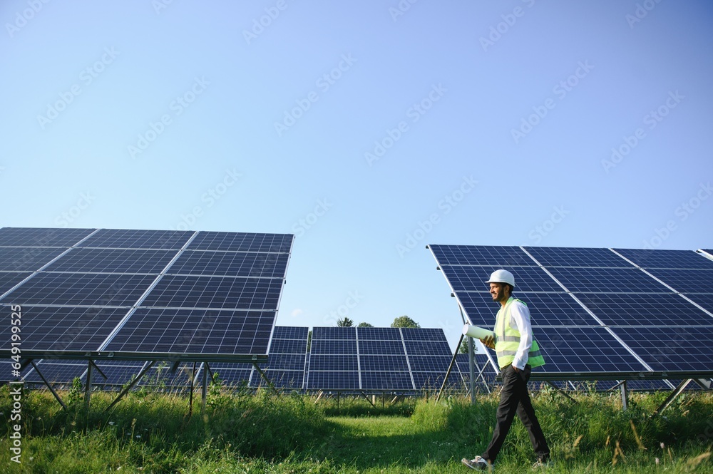 Wall mural Portrait young indian technician or manager wearing formal cloths standing with solar panel. renewable energy, man standing crossed arm, copy space